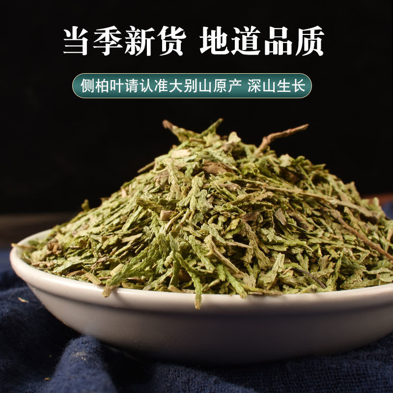侧柏叶新鲜野生新鲜晒干水泡酒洗发扁柏叶质量无忧五味子中国大陆