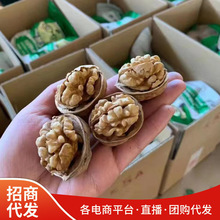 新疆185纸皮核桃批发代发500g 手捏阿克苏核桃坚果特产薄皮核桃