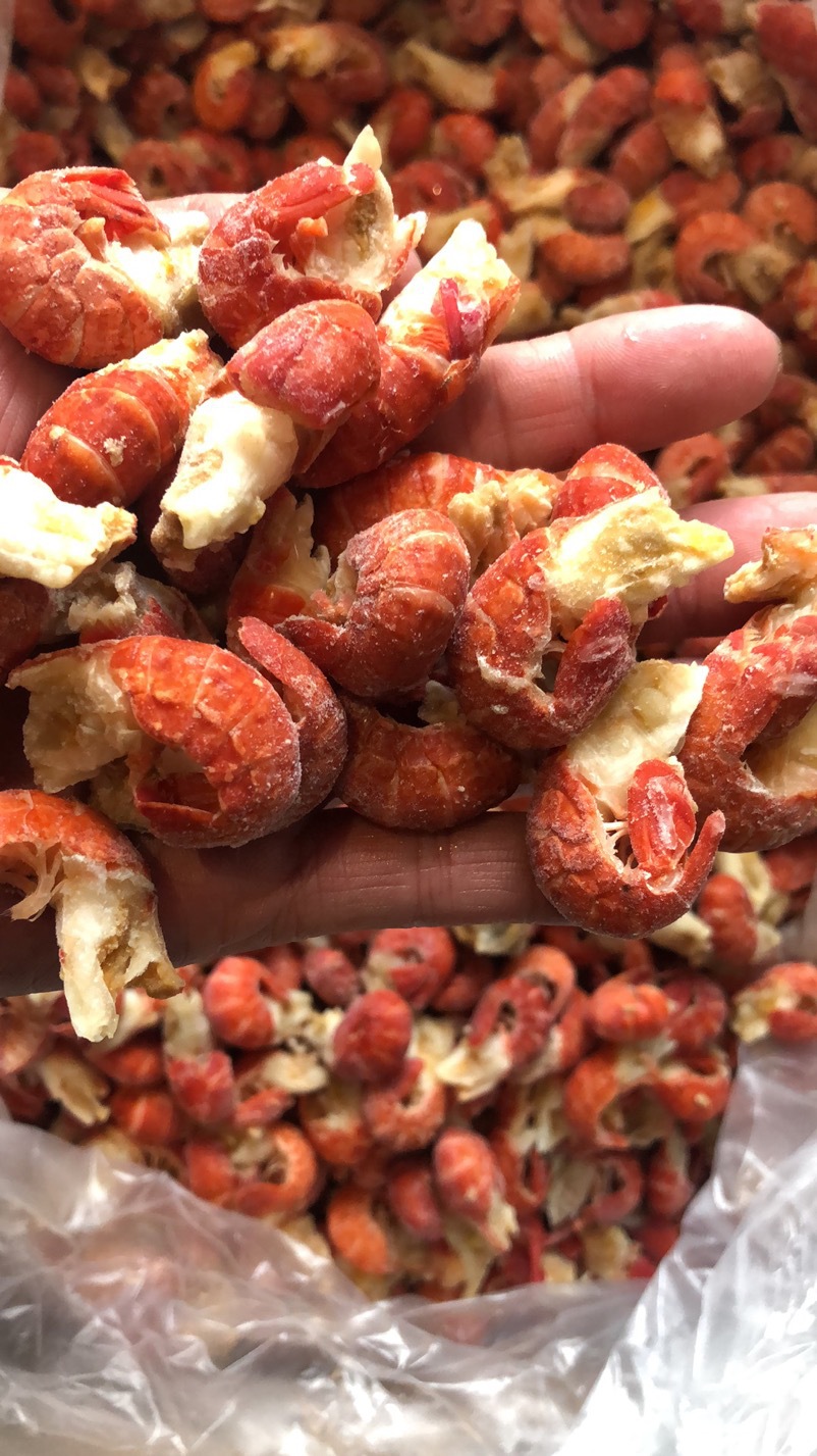 无冰衣冷冻龙虾尾 龙虾球非即食麻辣虾尾海鲜水产 半成品龙虾尾