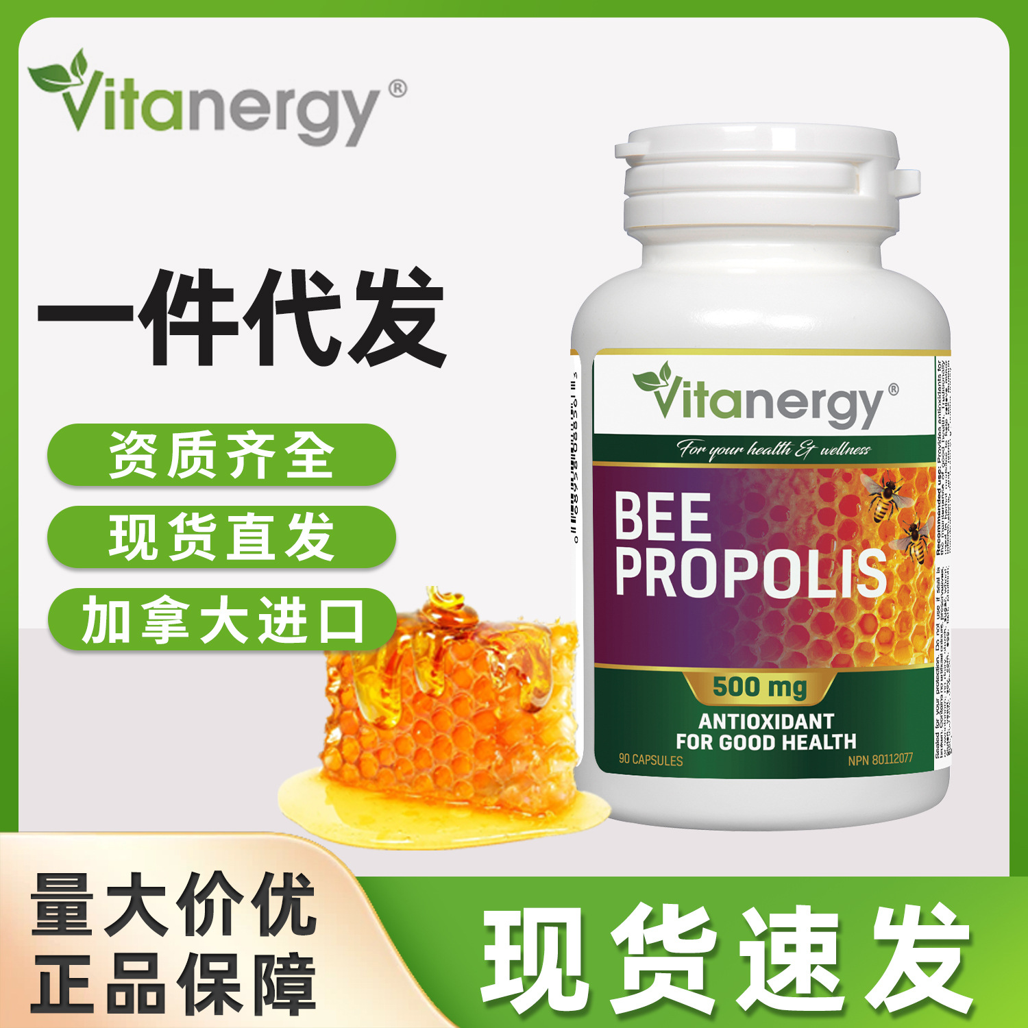 加拿大维生能黑蜂胶胶囊高浓度萃取膳食补充增呵护口腔健康抵抗力