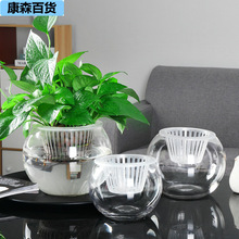 大号水培植物玻璃花瓶透明水养绿萝花盆容器插花瓶圆球形鱼缸器皿