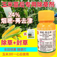 烟嘧莠去津24%玉米苗后除草剂玉米除草剂正品农药杂草烂根封闭