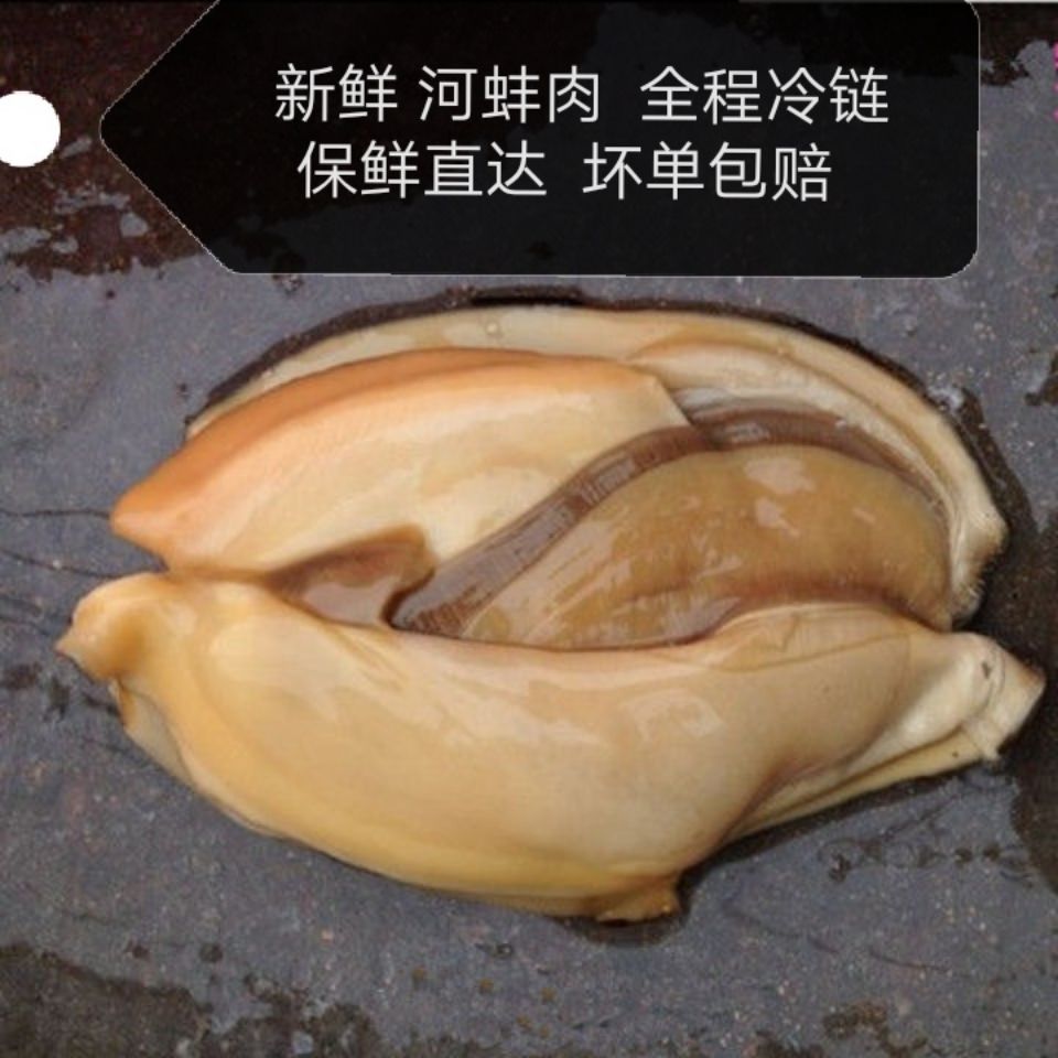 河蚌肉新鲜活体现去壳鲜蚌肉冷冻净肉全场微山湖活体大河蚌