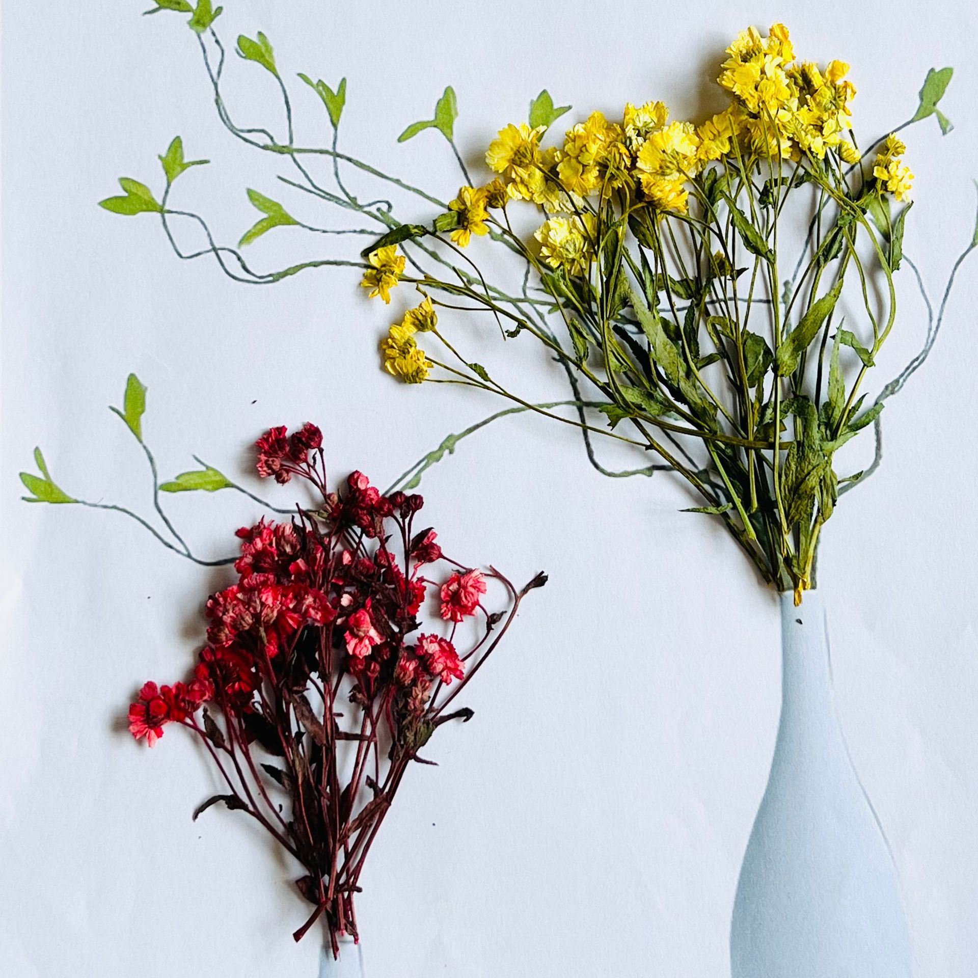 进口带枝多头雏菊 压花植物标本树叶手工贴画滴胶diy书签干花材料