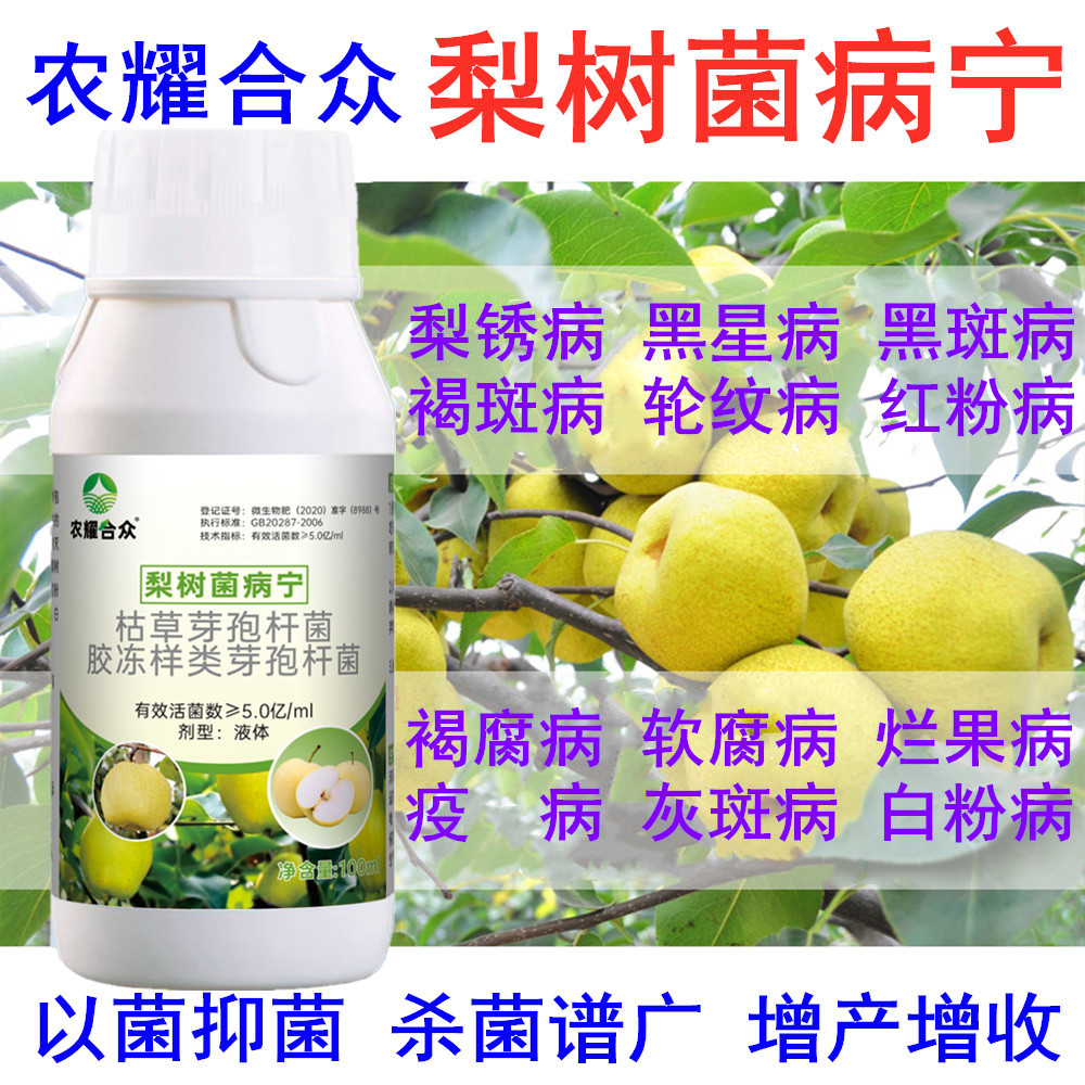 梨树锈病专用药梨锈病白粉病梨树病菌清非农药梨增产菌立清杀菌剂