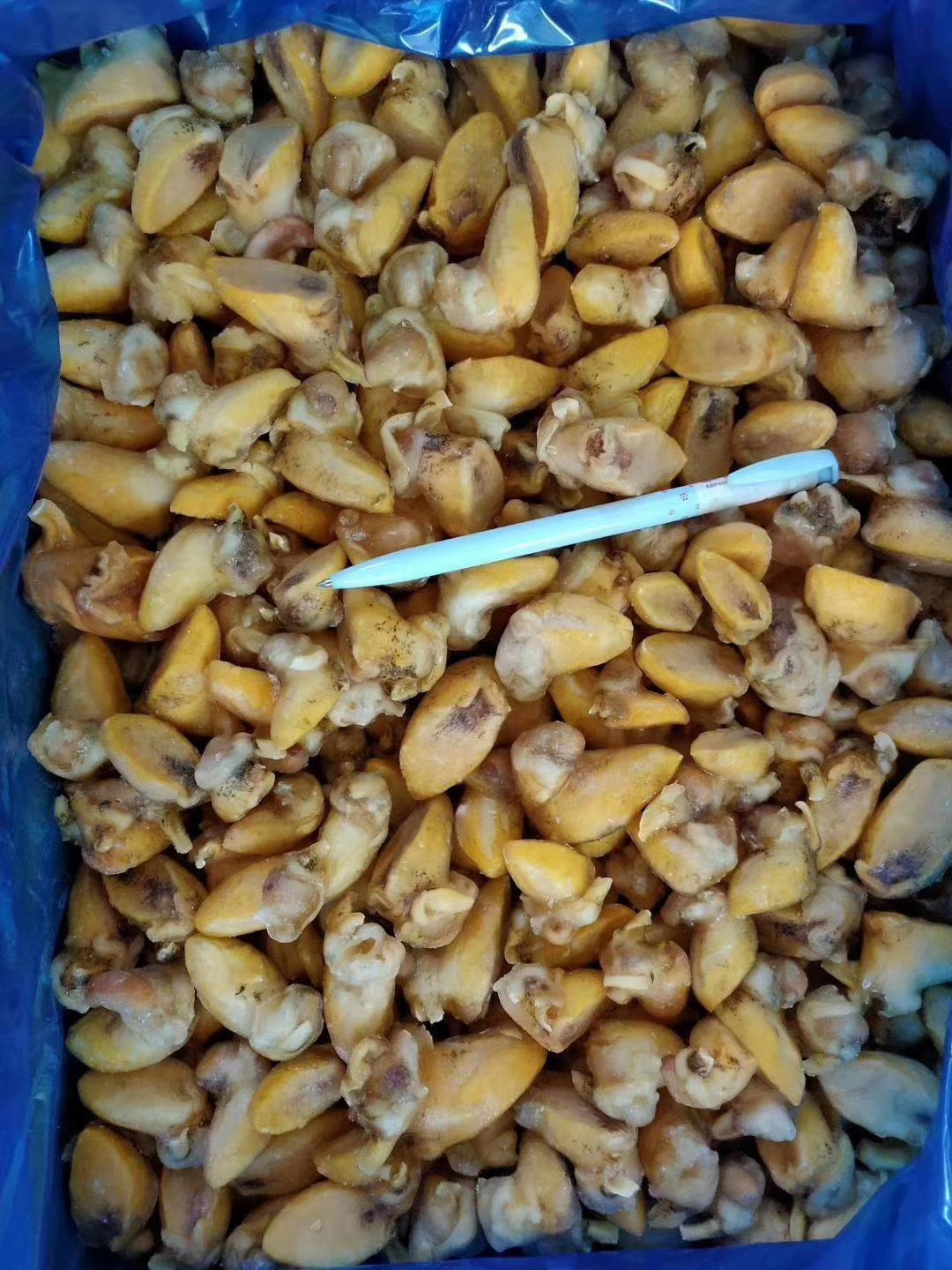 【黄金鲍螺肉】冷冻鲍螺去壳珍珠鲍螺肉老婆脚麻辣食材海鲜