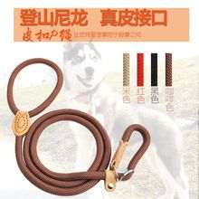 狗链子小型犬p绳遛狗防爆冲P绳遛狗牵引绳级小中大型犬防爆冲p链