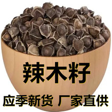 应季新货 新鲜辣木籽 果实茶500克/1斤散装 厂家直供 食用休闲茶