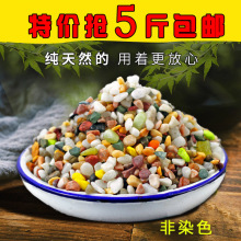 天然五彩花石白石子多肉铺面鱼缸造景花盆花载卉装饰庭院铺路装饰