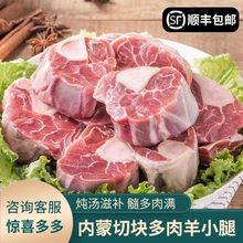 羊小腿内蒙古羔羊肉新鲜无膻味烧烤带骨羊后腿腱子原切羊棒骨切块