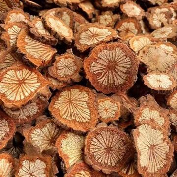 血塞通血藤野红藤大血通红藤新鲜泡酒血通批发包邮