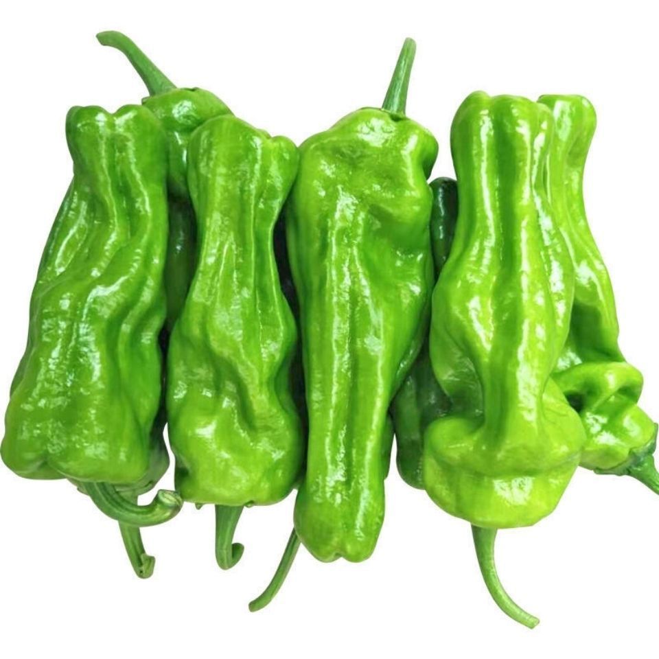 5斤包邮薄皮青椒新鲜青微辣虎皮青椒应季时令蔬菜农家自种