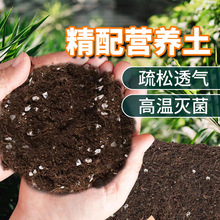 营养土厂家供应通用性育苗基质 营养土 绿化工程种植土无土栽培基