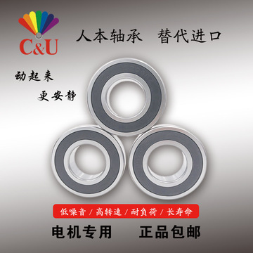 人本高速电机轴承6308 6309 6310 6311 6312 6313 6314 6315 2rz