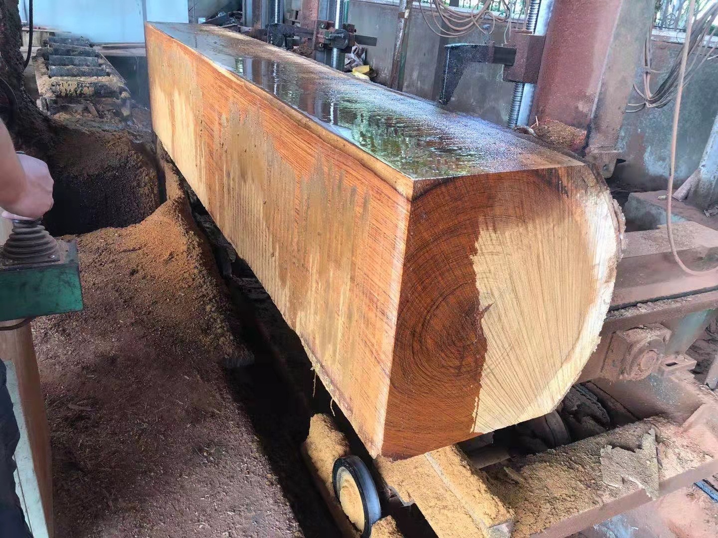 南美花梨 贾托巴 厂家供应原木  板材 工程料 建筑园林古建