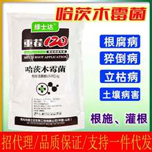 哈茨木霉菌 潍坊绿士达重茬120根部型土传病害改良土壤死苗烂根
