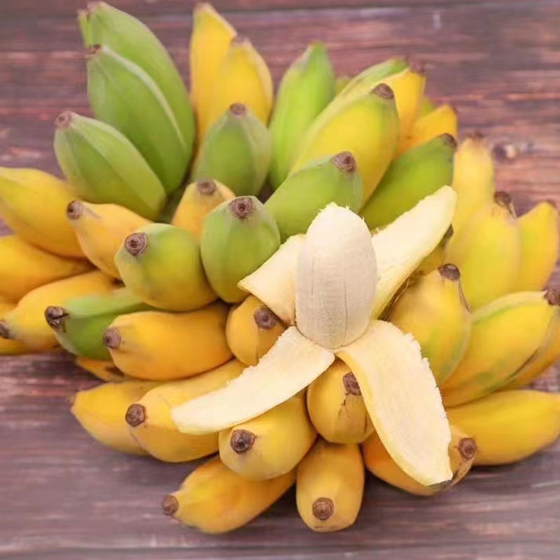 苹果香蕉新鲜水果香蕉小粉蕉一件代发苹果焦非小米蕉