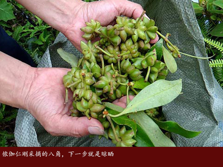 新货八角500g大红八角大茴香大料茴香烧菜调料卤料香料大全