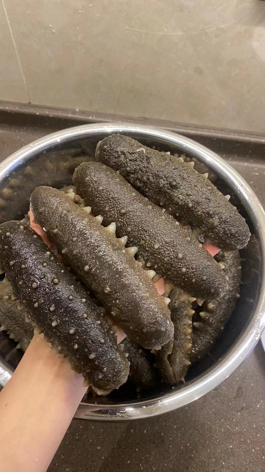 日本北海道天然野生关西参海参干货直销纯淡干辽刺参20-300头