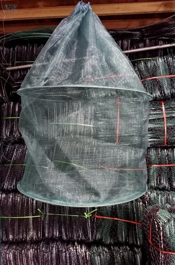 渔网箱折叠圆形养鱼笼龙虾螃蟹暂养吊笼网箱鱼护户外养鱼虾笼