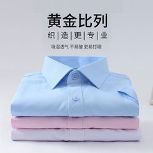 2024年新款夏季纯白衬衫短袖男士修身商务正装韩版青年上班工作服
