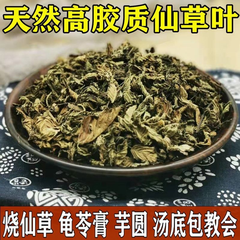 仙草干新鲜仙草叶黑凉粉草台湾烧仙草粿龟苓膏制作配料仙人草