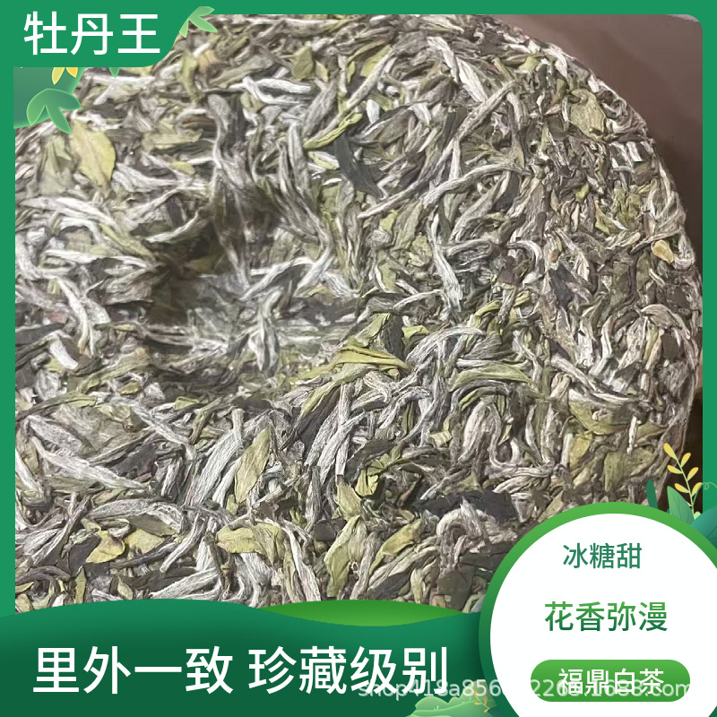 2023年福鼎白茶白牡丹王茶饼管阳高山花香水甜300g白茶厂家批发