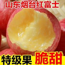 苹果 冰糖心山东烟台红富士当季水果新鲜脆甜整箱批发