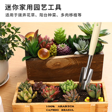 ECHO日本制家用园艺小铲子不锈钢松土花园工具产盆栽种菜花铲