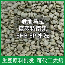 新产季危地马拉薇薇特南果SHB  EP 水洗咖啡生豆批发可代工烘焙