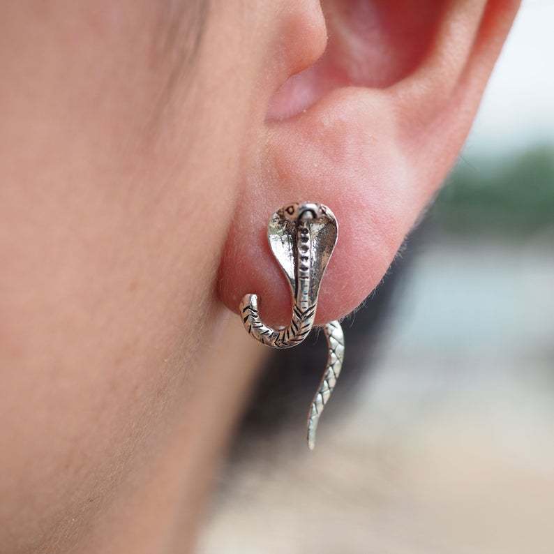 耳钉夸张欧美图片