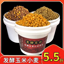 5斤桶装发酵玉米大物窝料小麦老坛五谷杂粮野钓鲫鱼草鱼鲤鱼饵料