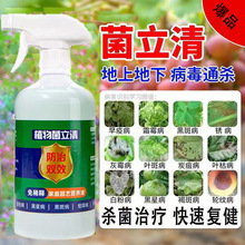 植物菌立清免稀释通用营养液绿植蔬菜水果植菌净微生物菌剂花肥料