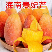 海南贵妃芒果10斤装当季新鲜水果3/5斤红金龙批发包邮大芒果