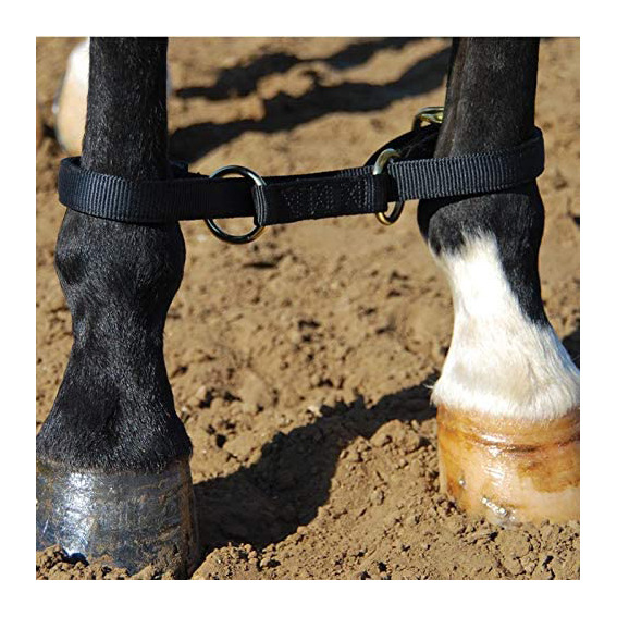 马套 马脚套 马织带 尼龙马鞋垫 训练马绳 马笼套 马术用品