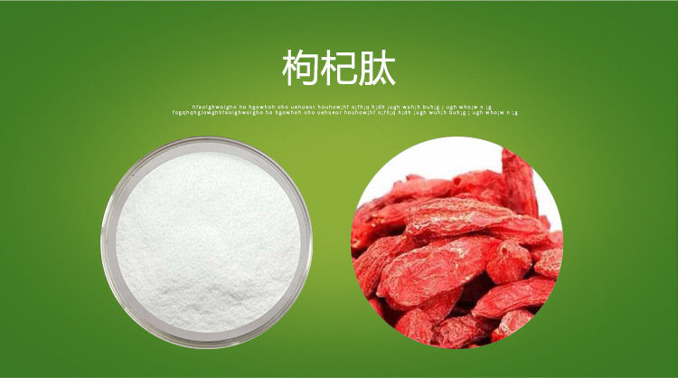 枸杞肽98% 枸杞小分子低聚肽 枸杞肽粉 小分子枸杞肽 五色花直邮