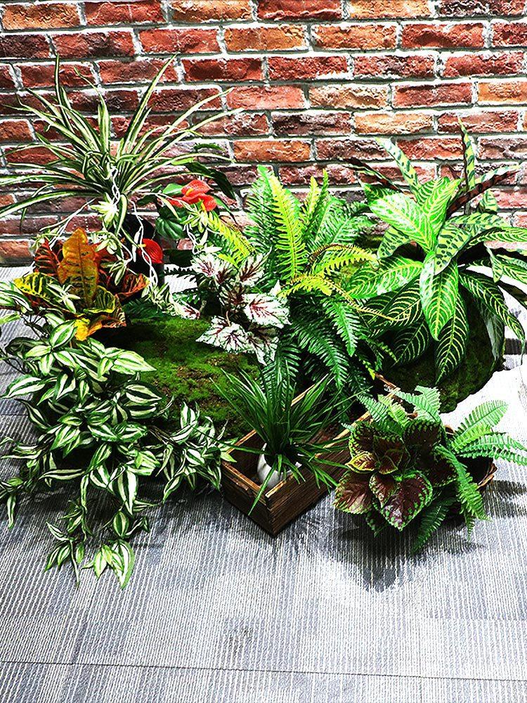 花舍仿真小植物装饰室内造景假草田园微景观绿化花草蒲灌木丛包邮