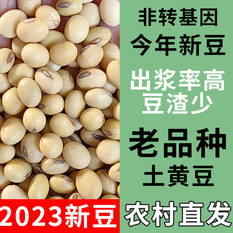 新黄豆农家自种非转基因打豆浆专用大豆老品种土笨肾形小黄豆5斤