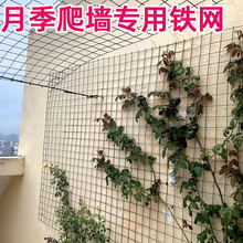 蔷薇月季爬藤铁丝网 植物爬墙网格藤曼墙面牵引网 园艺爬藤网