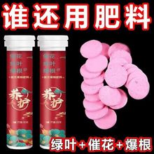 家庭园艺缓释肥通用型氮磷钾缓释片室内养花花卉盆栽多肉盆有机肥