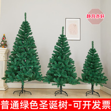 圣诞节绿色圣诞树1.2/1.5/1.8/2.1/2.4/3米家用裸树仿真圣诞装饰