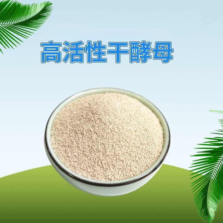 饲用高活性干酵母 饲料添加剂 水产养殖和畜禽 反刍适用 现货