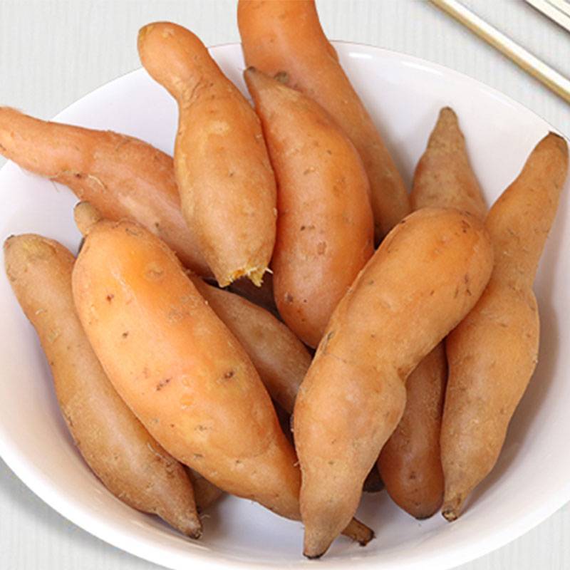 贵州紫云红薯新鲜地瓜红心番薯小红薯板栗番薯小香薯鲜生山芋