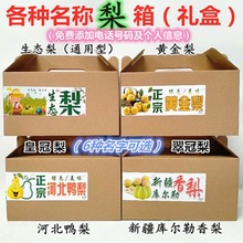 高端品种 5斤进口红啤梨新鲜梨子水果鸭梨当季红皮香梨整箱包邮10