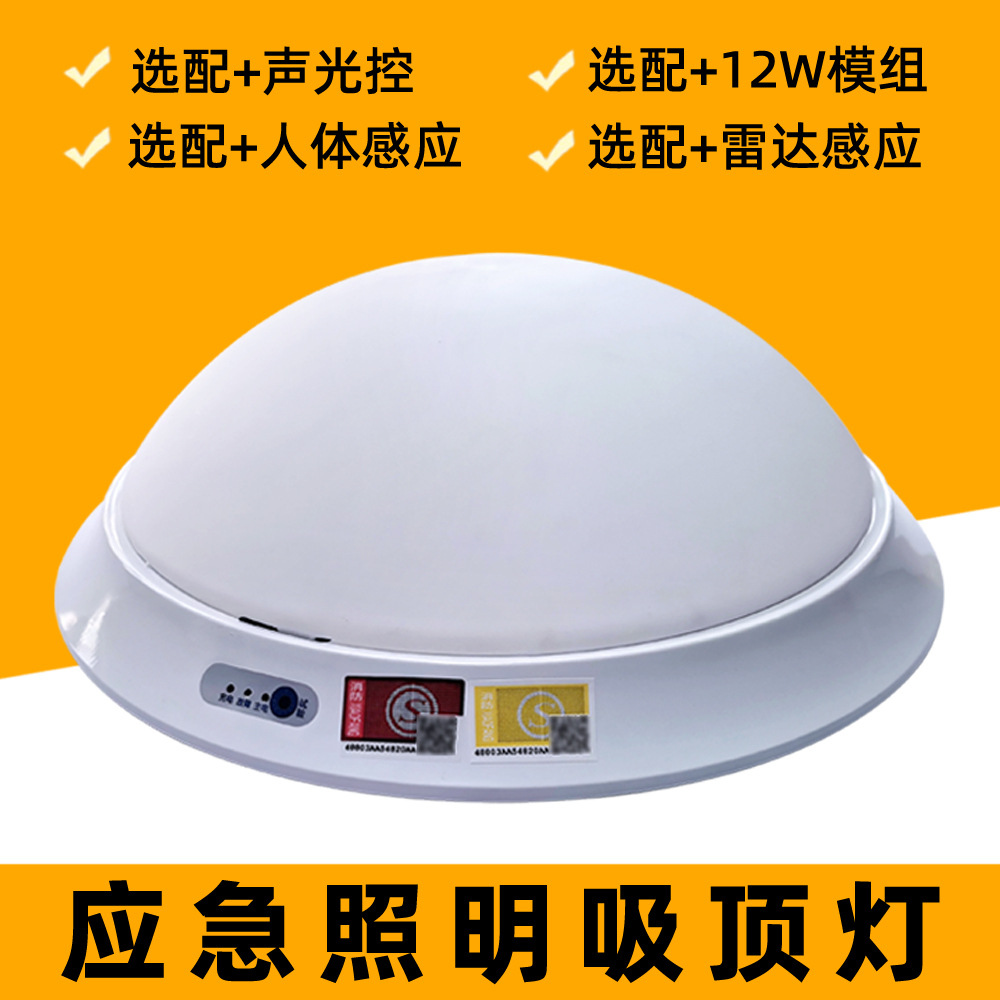 消防应急照明灯 吸顶灯  公区人体感应应急灯具 成都声控面包灯