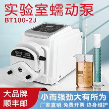 实验室用微型电动BT100-2J系列大流量蠕动泵流量输出 0-380ml/min