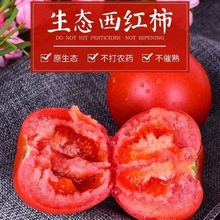 普罗旺斯山东生吃西红柿新鲜沙瓤大番茄自然熟水果粉柿子1/5斤装