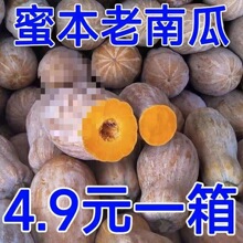 红土新鲜云南蜜本老南瓜农家自种宝宝辅食软糯面甜老品种南瓜