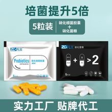 再宠 硝化细菌胶囊菌粮胶囊EM菌净水剂水质稳定剂散装硝化菌胶囊