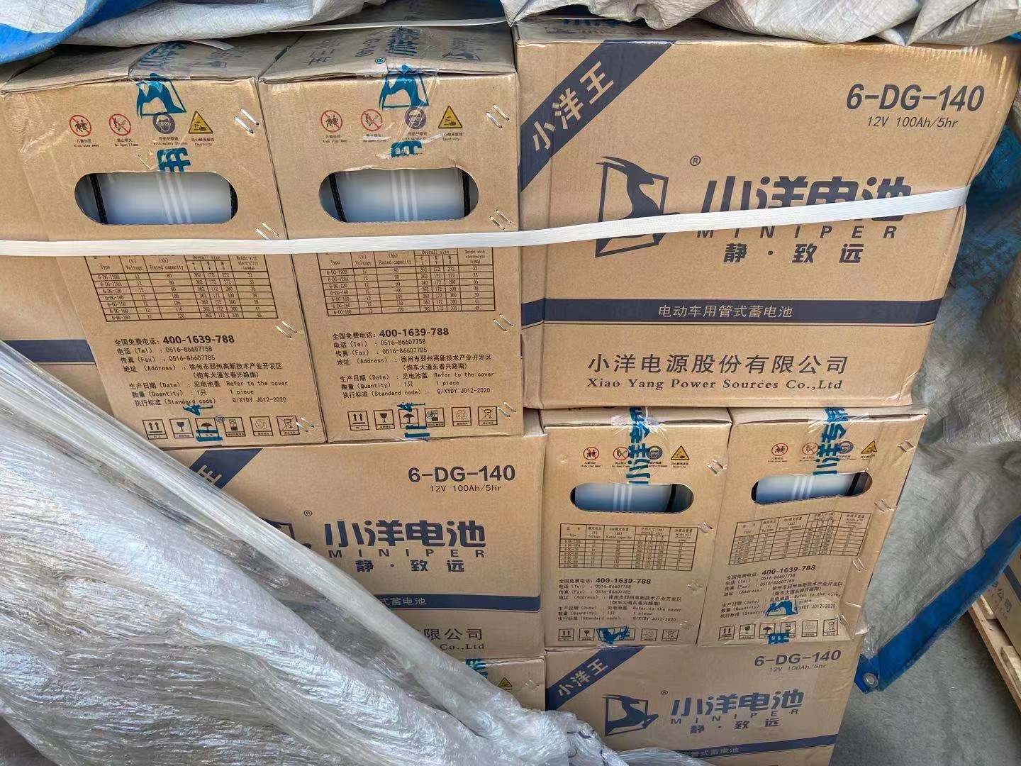 小洋蓄电池6-ev-120b/6-dg-120b电动三轮车叉车专用牵引水电瓶